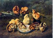 unknow artist chickens 197 oil painting picture wholesale